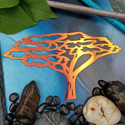 NormiPilke magneetti, Akaasia puu, Holografinen