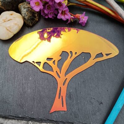 NormiPilke magneetti, Akaasia puu, Holografinen