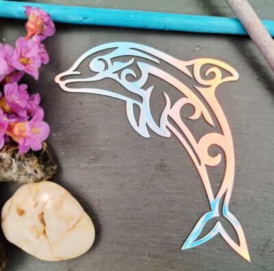 NormiPilke magneetti, Delfiini, Holografinen