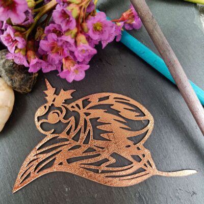 NormiPilke magneetti, Kovakuoriainen lehdellä, Teksturoitu