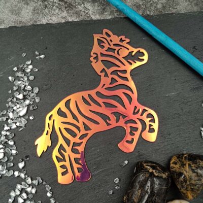 NormiPilke magneetti, Seepra, Holografinen