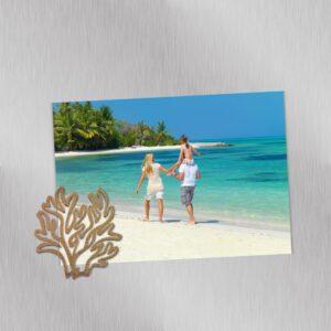 PikkuPilke magneetti, Koralli, Teksturoitu