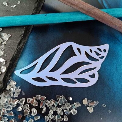 PikkuPilke magneetti, Merikotilo, Holografinen