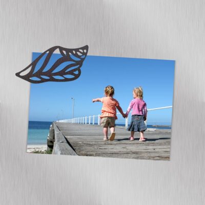 PikkuPilke magneetti, Merikotilo, Harjattu