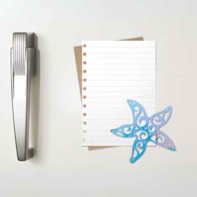 PikkuPilke magneetti, Meritähti, Holografinen