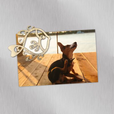 PikkuPilke magneetti, Pusukala, Teksturoitu