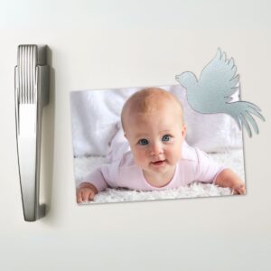 PikkuPilke magneetti, Siluettilintu, Kimaltava