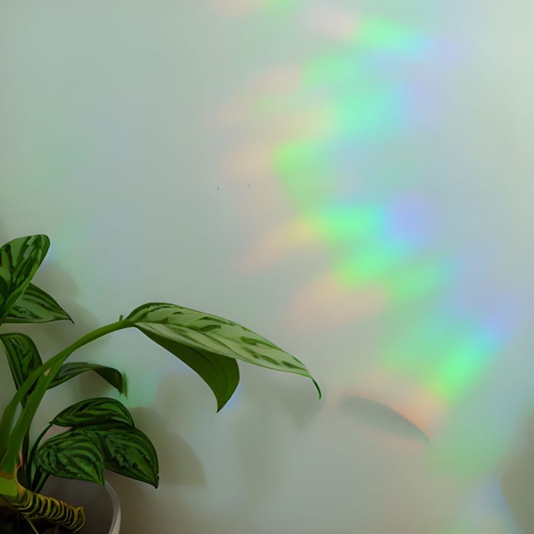Aurinkosieppari,upeat värit seinällä, sateenkaari
