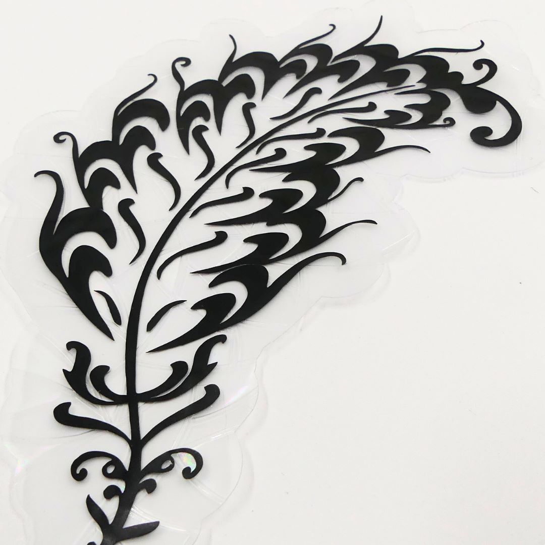 Pilke aurinkosieppari, Höyhen - Image 3