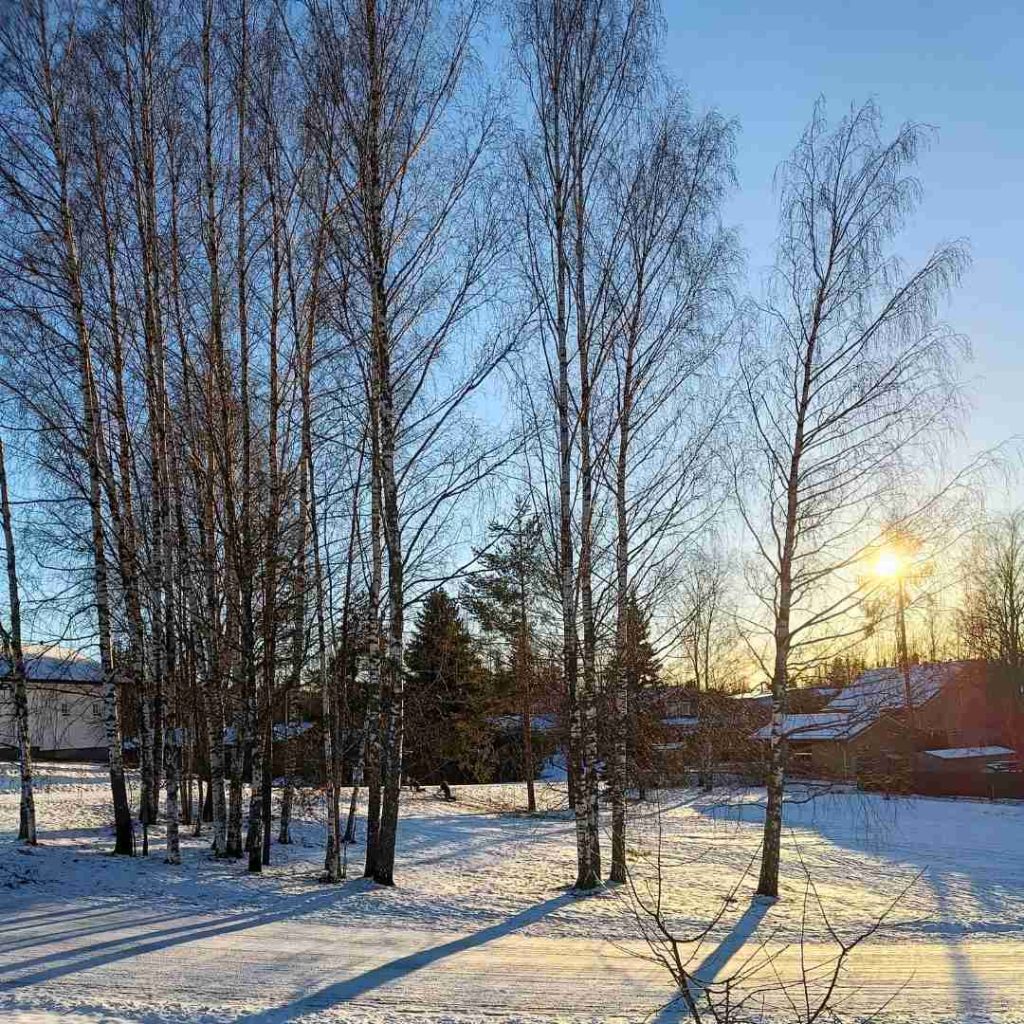 Keuhkokuume pulkkamaki lapset