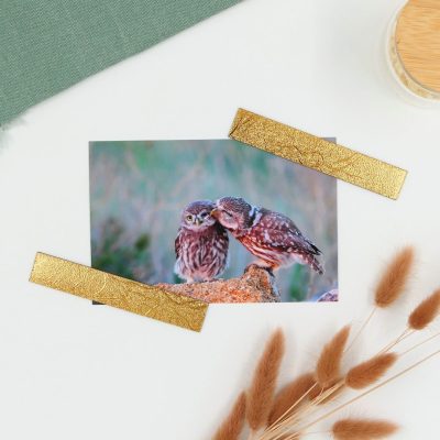 Pilke magneetti 2 kpl valokuville ja muistilapuille, Teksturoitu kulta