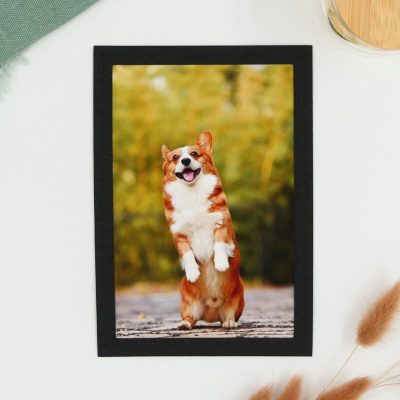 Pilke magneettinen valokuvakehys 10x15 kuvalle, Kimaltava musta