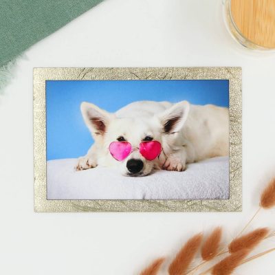 Pilke magneettinen valokuvakehys 10x15 kuvalle, Teksturoitu platina